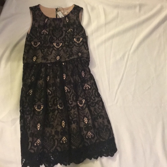 Black Lace-Eva Mendes Collection Dress - Picture 2 of 8